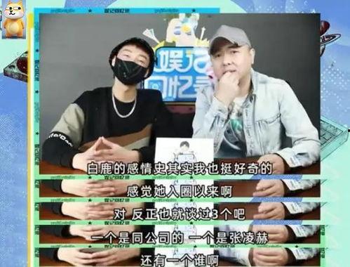 最新刘大锤爆料新闻直播,最新热点事件内幕大曝光 第3张 最新刘大锤爆料新闻直播,最新热点事件内幕大曝光 第3张