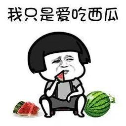 搞笑娱乐吃瓜,笑料百出！娱乐圈吃瓜大揭秘  第2张